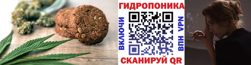 Canna-Cookies марихуана  omg зеркало  Сыктывкар 