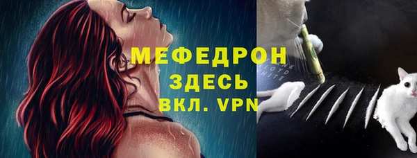 прущие грибы Новодвинск