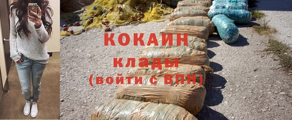 прущие грибы Новодвинск