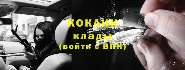 прущие грибы Новодвинск