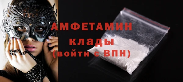 прущие грибы Новодвинск