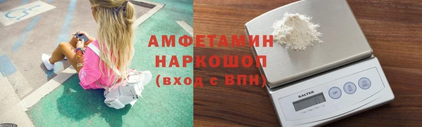 прущие грибы Новодвинск