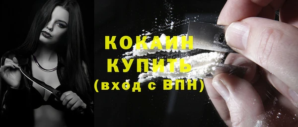 прущие грибы Новодвинск