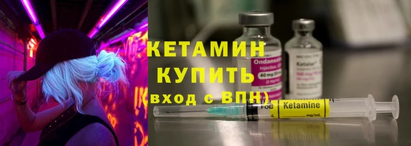 прущие грибы Новодвинск