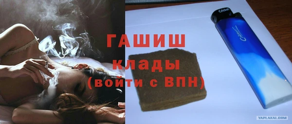 прущие грибы Новодвинск