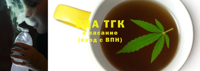 прущие грибы Новодвинск
