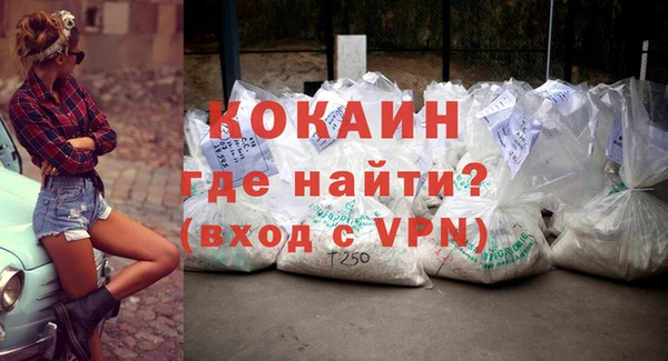 прущие грибы Новодвинск