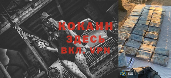 прущие грибы Новодвинск
