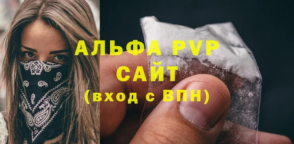 прущие грибы Новодвинск