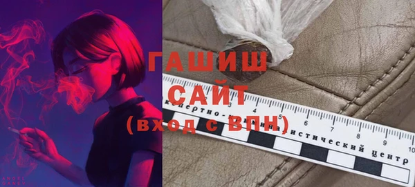 прущие грибы Новодвинск